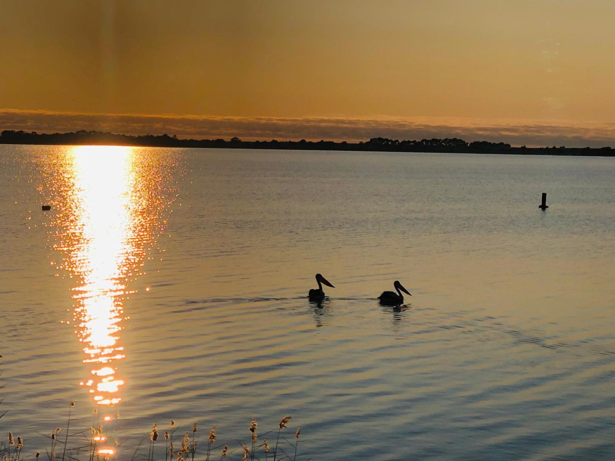 Lake Boga Caravan Park المظهر الخارجي الصورة