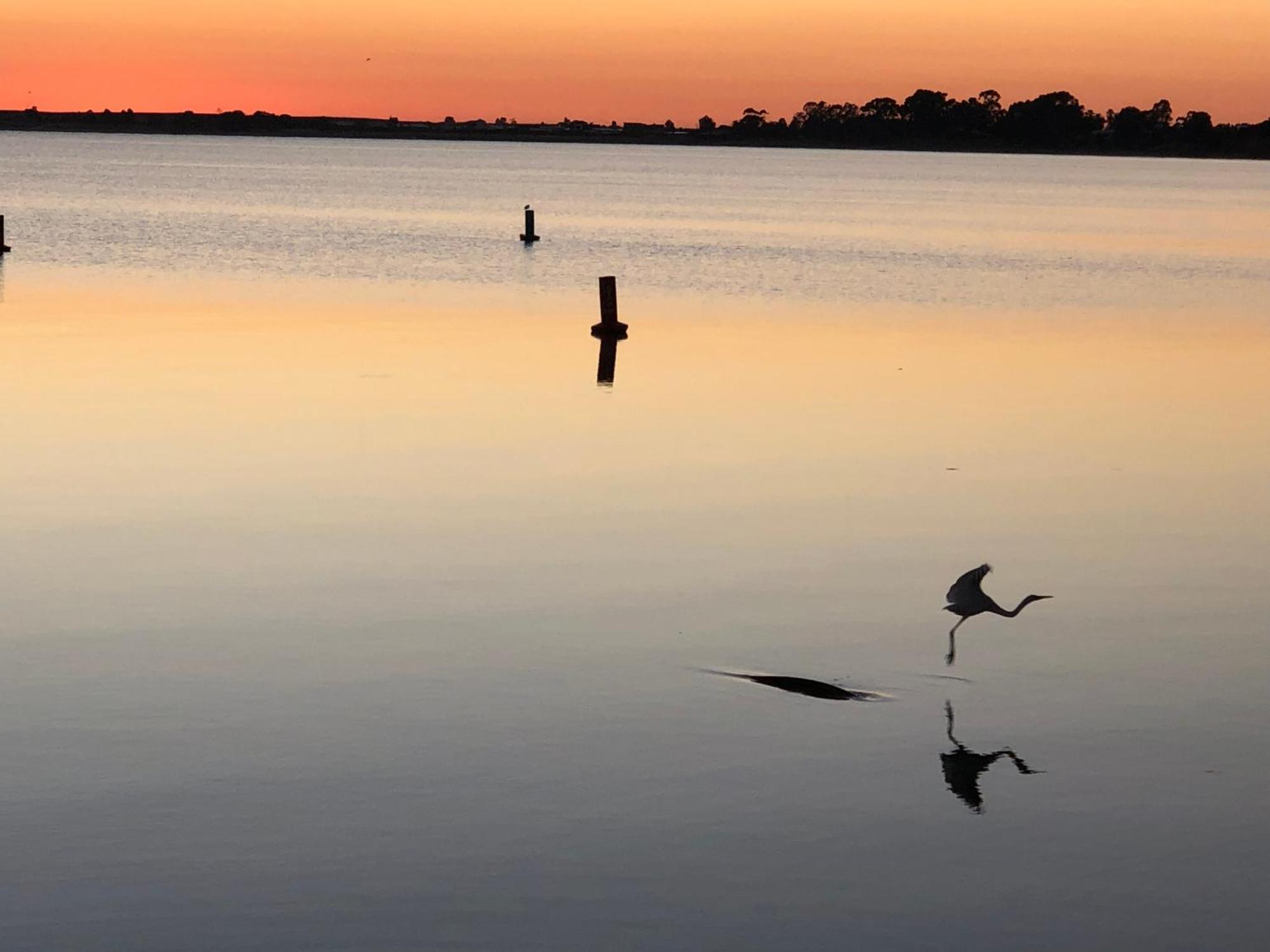 Lake Boga Caravan Park المظهر الخارجي الصورة